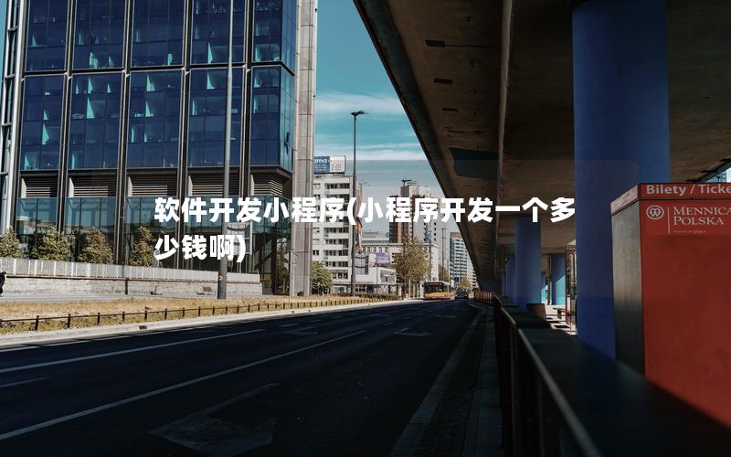 軟件開發(fā)小程序(小程序開發(fā)一個多少錢啊)