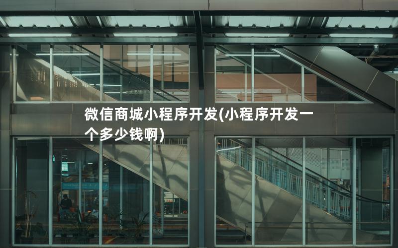 微信商城小程序開發(fā)(小程序開發(fā)一個(gè)多少錢啊)