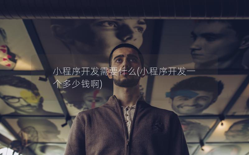 小程序開發(fā)需要什么(小程序開發(fā)一個多少錢啊)