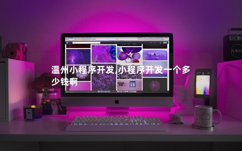 溫州小程序開發(fā),小程序開發(fā)一個(gè)多少錢啊