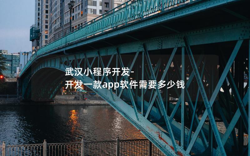 武漢小程序開(kāi)發(fā)-開(kāi)發(fā)一款app軟件需要多少錢(qián)