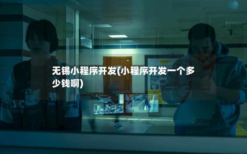 無(wú)錫小程序開(kāi)發(fā)(小程序開(kāi)發(fā)一個(gè)多少錢(qián)啊)