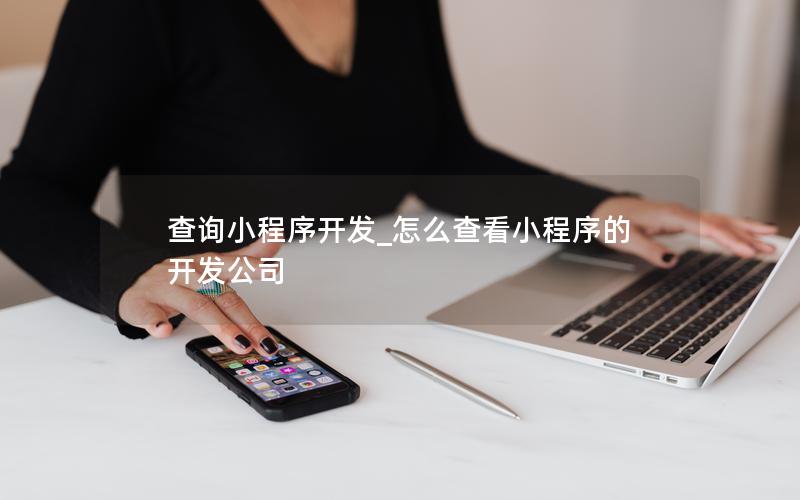 查詢小程序開發(fā)_怎么查看小程序的開發(fā)公司