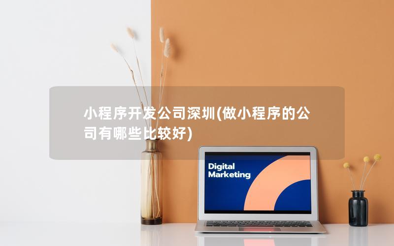 小程序開(kāi)發(fā)公司深圳(做小程序的公司有哪些比較好)