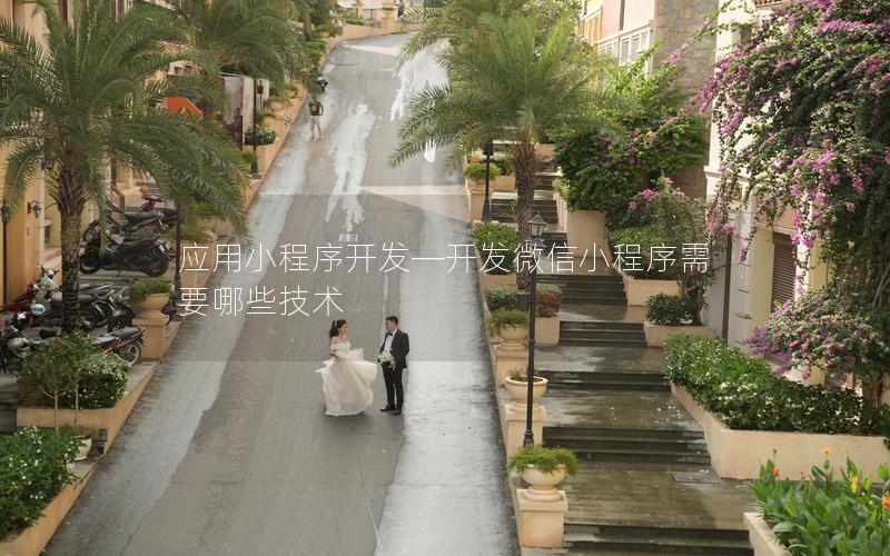應(yīng)用小程序開(kāi)發(fā)—開(kāi)發(fā)微信小程序需要哪些技術(shù)