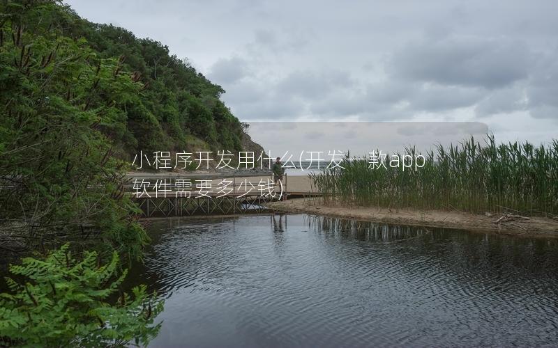 小程序開發(fā)用什么(開發(fā)一款app軟件需要多少錢)