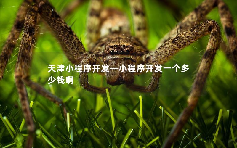 天津小程序開發(fā)—小程序開發(fā)一個(gè)多少錢啊