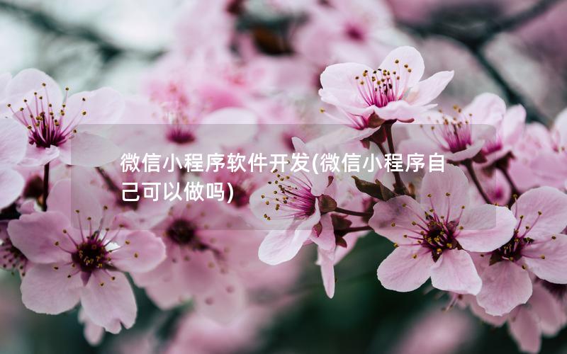微信小程序軟件開(kāi)發(fā)(微信小程序自己可以做嗎)