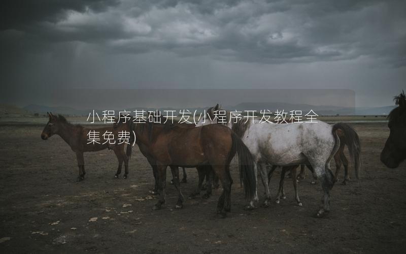 小程序基礎(chǔ)開發(fā)(小程序開發(fā)教程全集免費(fèi))