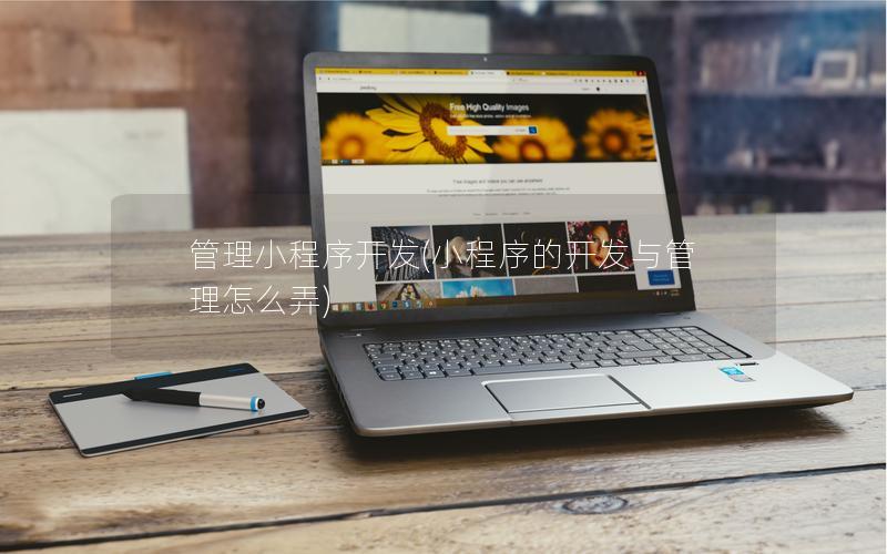 管理小程序開發(fā)(小程序的開發(fā)與管理怎么弄)