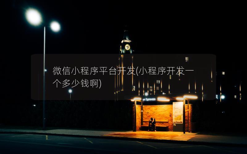 微信小程序平臺(tái)開(kāi)發(fā)(小程序開(kāi)發(fā)一個(gè)多少錢(qián)啊)