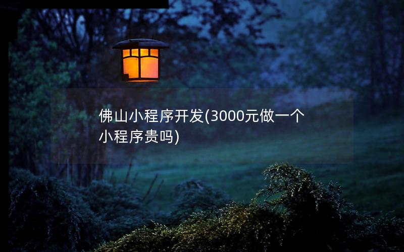 佛山小程序開發(fā)(3000元做一個(gè)小程序貴嗎)