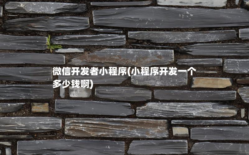 微信開(kāi)發(fā)者小程序(小程序開(kāi)發(fā)一個(gè)多少錢(qián)啊)