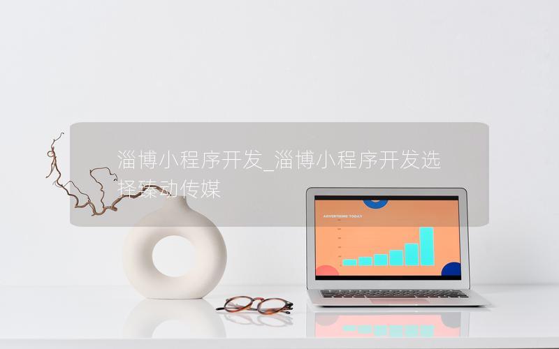 淄博小程序開發(fā)_淄博小程序開發(fā)選擇臻動(dòng)傳媒
