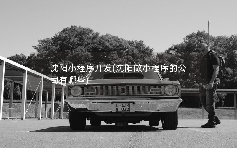 沈陽小程序開發(fā)(沈陽做小程序的公司有哪些)