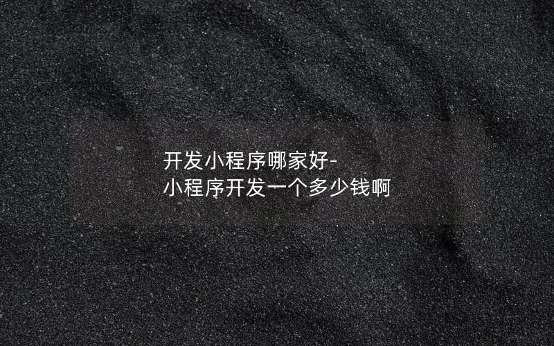 開(kāi)發(fā)小程序哪家好-小程序開(kāi)發(fā)一個(gè)多少錢(qián)啊