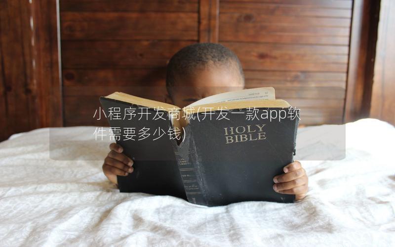 小程序開發(fā)商城(開發(fā)一款app軟件需要多少錢)