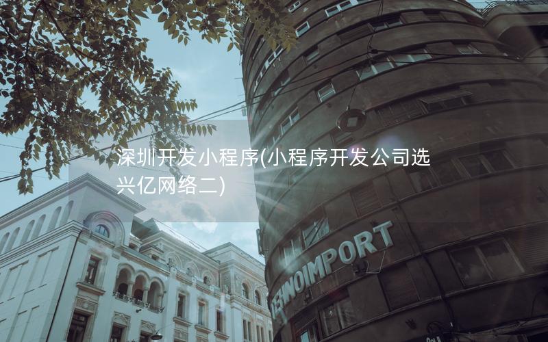 深圳開發(fā)小程序(小程序開發(fā)公司選興億網(wǎng)絡(luò)二)