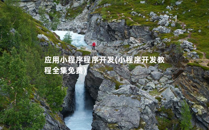 應用小程序程序開發(fā)(小程序開發(fā)教程全集免費)