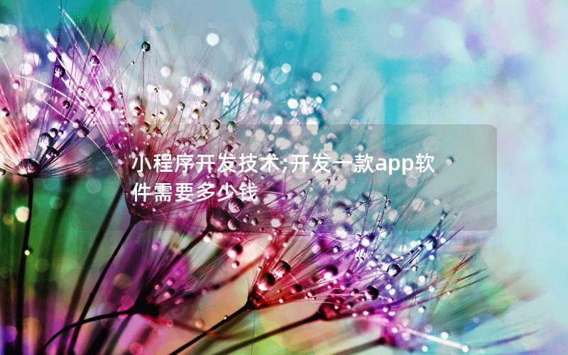 小程序開發(fā)技術(shù);開發(fā)一款app軟件需要多少錢