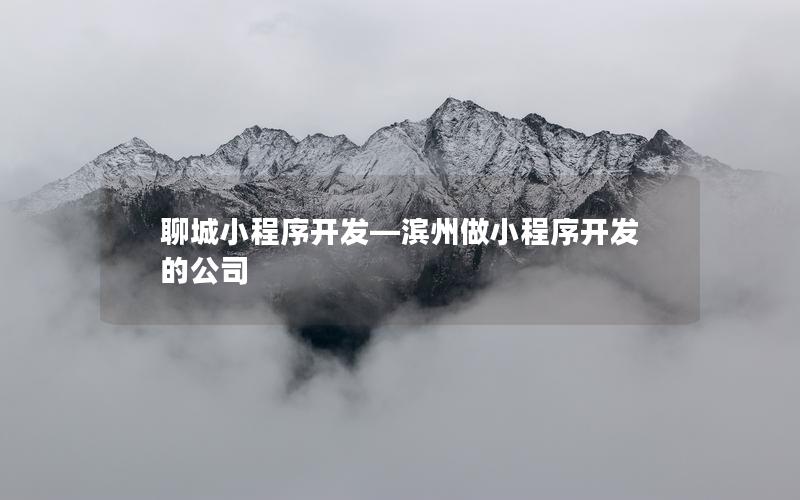 聊城小程序開發(fā)—濱州做小程序開發(fā)的公司
