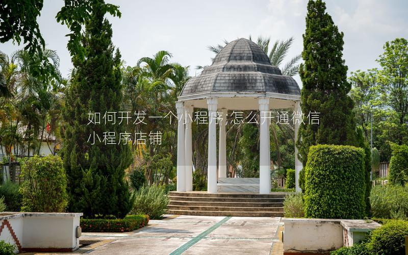 如何開發(fā)一個小程序;怎么開通微信小程序店鋪