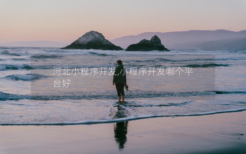 河北小程序開發(fā),小程序開發(fā)哪個平臺好