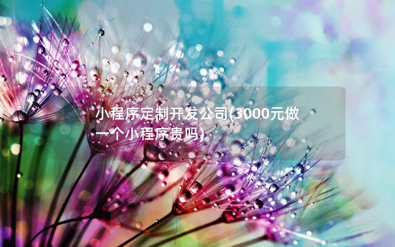 小程序定制開發(fā)公司(3000元做一個(gè)小程序貴嗎)