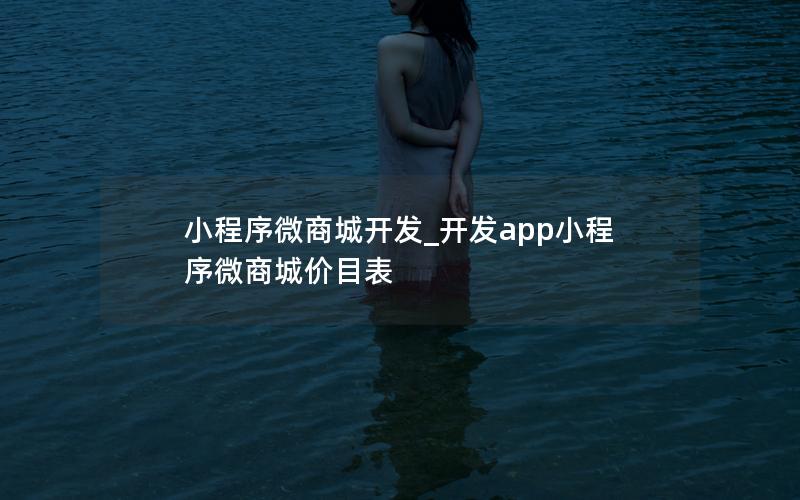 小程序微商城開發(fā)_開發(fā)app小程序微商城價目表