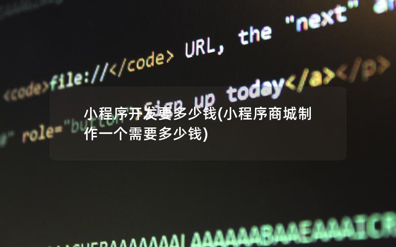 小程序開發(fā)要多少錢(小程序商城制作一個需要多少錢)