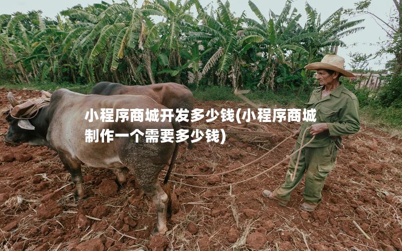 小程序商城開發(fā)多少錢(小程序商城制作一個(gè)需要多少錢)