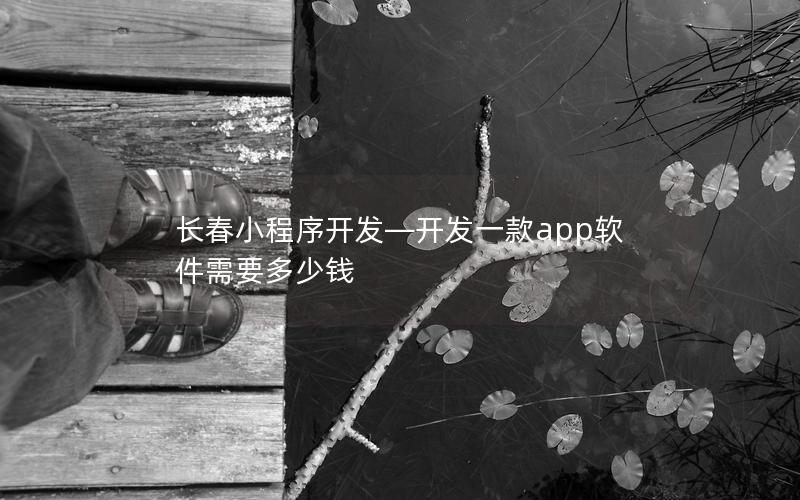 長(zhǎng)春小程序開(kāi)發(fā)—開(kāi)發(fā)一款app軟件需要多少錢(qián)