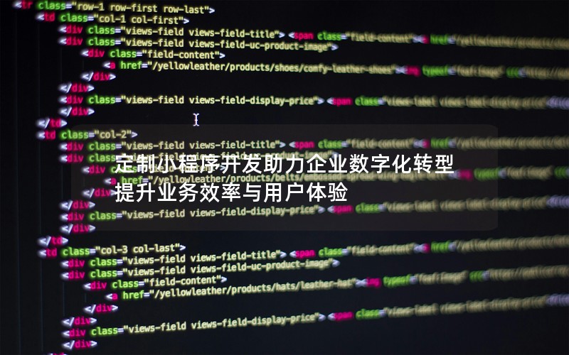 定制小程序開發(fā)助力企業(yè)數(shù)字化轉(zhuǎn)型提升業(yè)務(wù)效率與用戶體驗(yàn)